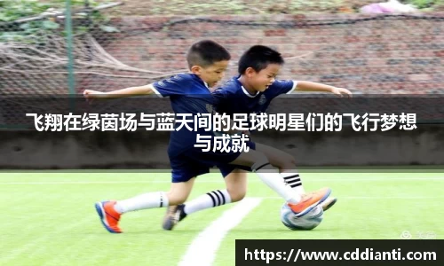 飞翔在绿茵场与蓝天间的足球明星们的飞行梦想与成就